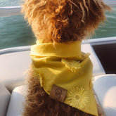 Bandana - Oopsy Daisy - 4 DOTS